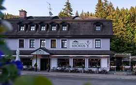 Hotel Krokus